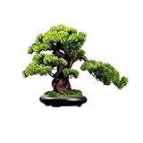 OUMYLFCNEC Bonsai Baum Künstliche Pflanze Bonsai Kiefer Imitation Silikonblatt Natürliche Farbe Schlafzimmer Wohnzimmer und Bürodekoration Künstliche B