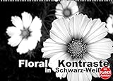 Florale Kontraste in Schwarz-Weiß (Wandkalender 2022 DIN A2 quer)