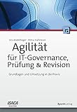 Agilität für IT-Governance, Prüfung & Revision: Grundlagen und Umsetzung in die Prax