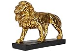 Hansmeier® Deko Skulptur Löwe | Gold | Für Außen und Innen | 43 x 28 x 13 cm | Deko Statue F