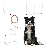 GOTOTOP Agility-Trainingsgerät für Hunde, Starter-Set zur Agility-Ausbildung von Hindernissen für Haustiere, für den Außenhof, Höhensprüng