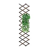 Reagia Holzgitter Wand Pflanzer Gartenzaun, Extra Dick Erweiterbare Pflanze Klettern Hängerahmen Spalier Pflanzen Stützzaun Indoor Air Plant Vertikales Rack Wanddekor für Zimmer Patio G