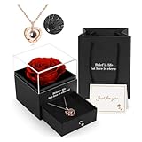 Ewige echte Rose mit I Love You Halskette, Konservierte Rose Blumen Schmuck Geschenkbox zum Valentinstag Muttertag Hochzeit Jahrestag Geburtstag Geschenk für sie Frauen Freundin F