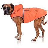 Bella & Balu Hunderegenmantel – Wasserdichter Hundemantel mit Kapuze und Reflektoren für trockene, sichere Gassigänge, den Hundespielplatz und den Urlaub mit Hund (L | Orange)