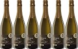 Alde Gott Winzer Schwarzwald Cuvée Sekt'Weitblick' 2016 Extra Brut (extra herb) (6 x 0.75 l)