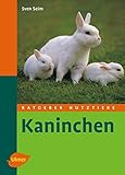 Kaninchen (Ratgeber Nutztiere)