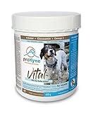 proKyne FUNCTIONAL NUTRITION® 450g | Ergänzungsfuttermittel für Hunde | Gesundheit und Vitalität | Unterstützung von Herz Bewegung Immunsystem Verdauung Darm Haut Wohlbefinden | Dose mit 450g