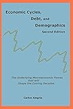 Economic Cycles, Debt and Demographics: The underlying macroeconomic forces that will shape the coming decades (English Edition)