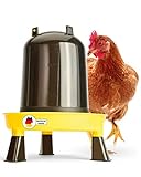 DESCENA® Hühnertränke 3l: Geflügeltränke Hühner I Tränke Hühner zum Aufhängen I Hühnertränke Winter - Größe verstellbar I Hühnerstall Zubehör I Hühner Tränk