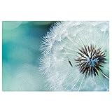 Sunzhenyu Spring Pusteblume Fußmatte, Outdoor-Fußmatte, Indoor-Teppich für den Eingangsbereich, rutschfest, Teppichmatte, waschbarer Teppich für Veranda, Küche, Eingangsbereich, 40 cm x 60