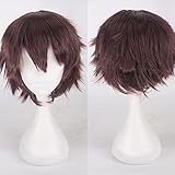 XLNB Kurze Mode-stachelige geschichtete Perücke, Bunte Flauschige Anime-Cosplay-Perücken, synthetische hitzebeständige Halloween-Weihnachtsspiel-Party-Perücke für Herren Jungen männlich,Dark Brow