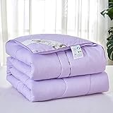 ZQWE Bettdecke Ganzjahresdecke 4 Jahreszeiten Ganzjahresdecke Steppdecken Schlafdecke, Steppdecke für Allergiker Duvet, Super Weiche Zudecke Atmungsaktive Schlafdecke (Purple,2.2x2.4m/4kg)