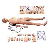 Patient Care Skills Manikin Model Geriatric Training Mannequin with Interchangeable Genitals and Bedsore Modules for Nursing Medical Training Teaching Medical Supplies PVC
