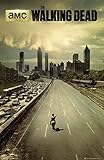 Tainsi Asher Gift City, Wood The Walking Dead Poster – mattes Poster, rahmenloses Geschenk, 28 x 43 cm (LS-183)