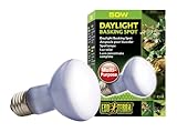 Exo Terra Daylight Basking Spot, Breitspektrum Tageslichtlampe, R20, 50W, Fassung E27