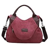 Hirolan Damen Vintage PlüSch Crossbody Bag Achsel PlüSch Schultertasche PlüSchhandtaschen Flauschige Handtaschen GeldböRsen Unter Den Armen Tasche PlüSch Messenger UmhäNg