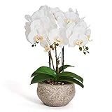 4Ever Green Künstliche Große Kunstblumen Weiß Ecru Orchidee Phalaenopsis Künstliche Blumen Deko Kunstpflanze Kunstblume im Grau Zement Topf, 42 cm H