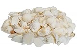 NaDeco Muschelmix weiß 1kg weiße Muscheln Bastelmuscheln Dekomuscheln Deko Schnecken Maritime Dek