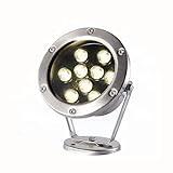 BDSHL Unterwasser-Poolbeleuchtung, 12V Led Ip68 Wasserdichtes Teichlicht, Buntes Landschaftslicht, 7 Farben (Color : Red, Size : 12W)