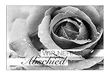 20 Premium-Trauerkarten Klappkarten mit 20 Umschlägen im Set (12x18cm) (Blume) mit Text - wir nehmen Abschied - Bekanntmachung Trauer, Beerdigung, Sterbefall, T