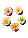 Fly Style Ohr-Plug Flesh Tunnel aus Holz mit Leder Hibiskus-Blüte, Grösse:14 mm, Farbwahl:b