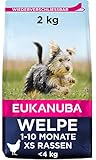 Eukanuba Welpenfutter mit frischem Huhn für mini Rassen, Premium Trockenfutter für Junior Hunde, 2kg