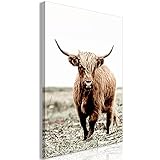 murando - Bilder Tiere 20x30 cm Vlies Leinwandbild 1 TLG Kunstdruck modern Wandbilder XXL Wanddekoration Design Wand Bild - Highland Kuh Landschaft Natur Wiese g-B-0249-b