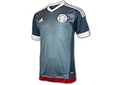 adidas Paraguay Away Shirt 15/16 grau APF Auswärts Trikot Fan Jersey WM Fußball, Größe:S