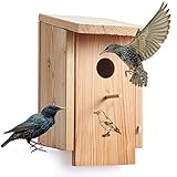 Woid Herz Premium Nistkasten (N45) Vogelhaus für Star - aus witterungsbeständigen 18mm starken bayrischem Lerchenholz mit 45mm Einflugloch und Sitzstange von Welcher der Star Seine Familie fü