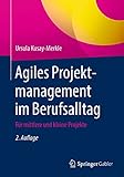 Agiles Projektmanagement im Berufsalltag: Für mittlere und kleine Projek