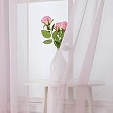 MIULEE 2er Set Sheer Voile Vorhang StangedurchzugTransparente Gardine aus Voile Polyester Fensterschal Transparent Wohnzimmer Luftig für Schlafzimmer 140 X 280 cm (B x H), Rod Pocket Baby R