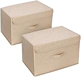 DIMJ 2er Set Aufbewahrungsbox mit Deckel und Griff, Faltbare Aufbewahrungskiste mit Wasser Waschbar, Groß Faltbox für Schränke, Kleidung, Bücher, Spielzeug usw. (Beige)