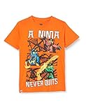LEGO M-22639 - T-Shirt Ninjag