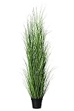 mucplants Dekogras im Topf - Künstlich & Naturgetreu - Höhe 150cm - Grasbüschel Ziergras Ufergras Kunstgras Grasbusch Schilfgras (Höhe: 150cm)