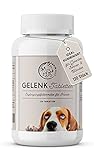 Annimally Gelenktabletten für Hunde mit Grünlippmuschel, MSM, Teufelskralle, Glucosamin & Hyaluron - 120 Gelenke Tabletten für Hunde - Hohe Akzeptanz beim Hund durch kleine Tab