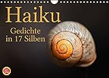 Haiku - Gedichte in 17 Silben (Wandkalender 2022 DIN A4 quer) [Calendar] Cross, Martina [Calendar] Cross, M