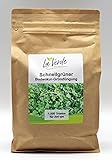 Schnellgrüner 1000 Gramm Bodenkur / Gründüng