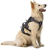 rabbitgoo No-Pull Hundegeschirr mit Tragegriff für Hunde Brustgeschirr Reflektierendes Geschirr Verstellbare Hundeweste für Outdoor, Training Sicher Kontrolle Gepolstert，XL Schw