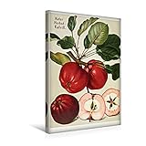 CALVENDO Premium Textil-Leinwand 30 x 45 cm Hoch-Format Roter Herbst-Kalvill, plattdeutsch: Dörroden, Leinwanddruck von Jost G