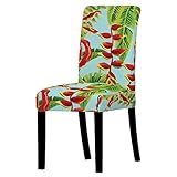 Stuhlhussen Entenei Blau Rot Stuhlbezug Stretch Weiche Elasthan Hussen für Stühle Abnehmbare Waschbar Stuhlhusse Langlebig Universal Chair Cover Sehr Pflegeleicht 2 Stück