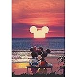 Diamant-Malerei-Set, 5D-Diamant-Gemälde, vollständiger Bohrer, Diamant-Kunst, perfekt für Entspannung und Heimdekoration, 30 x 40 cm (Disney Maus Paradise) Mickey M