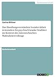 Das Handlungsverständnis Sozialer Arbeit in Anstalten für psychisch kranke Straftäter im Kontext des österreichischen Maßnahmenvollzug