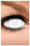 FUNZERA Farbige Halloween Kontaktlinsen weiß DEAD ZOMBIE, weich, 2 Stück (1 Paar), ACHTUNG: Nur 60% Sehvermögen - Ohne Sehstärk