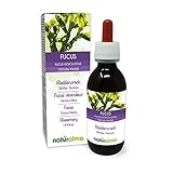 Blasentang (Fucus vesiculosus) Thallus (Alge) Alkoholfreier Urtinktur Naturalma | Flüssig-Extrakt Tropfen 120 ml | Nahrungsergänzungsmittel | Veg