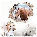 Little Deco 3D Wandtattoo Wandsticker Kinderzimmer Mädchen Pferd Horse Wandaufkleber Wanddeko Schlafzimmer Spielzimmer Kleinkind Wandbild selbstklebend DL628