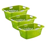 Rotho Flowers 3er-Set Wäschekorb Flowers 50l, Kunststoff (PP) BPA-frei, grün, 3 x 50l (65,1 x 49,0 x 26,2 cm)