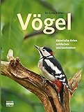 Vögel: Heimische Arten entdecken und b