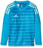 adidas Kinder AdiPro 18 Torwarttrikot, Bold Aqua/Unity Blue/Energy Aqua, 140