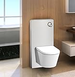 Weißglas Sanitärmodul für Wand-WC inkl. Betätigungsp