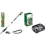 Bosch Akku Hochentaster UniversalChainPole 18 (Akku, Ladegerät, 18 Volt System, 2,5 Ah) & 18 Volt Ersatz Akku (2,5 Ah, kompatibel mit allen Geräten des grünen Bosch Home & Garden 18 Volt Systems)